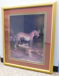 Jacques Laurent Agasse Two Leopards Playing Framed 36' X 42'