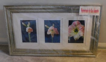 Bloom VIII Framed Photos By Nan Doherty