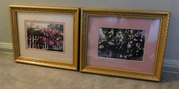 Framed Photos Lot Of 2