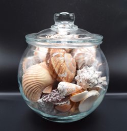 Glass Jar Filled With Assorted Seashells