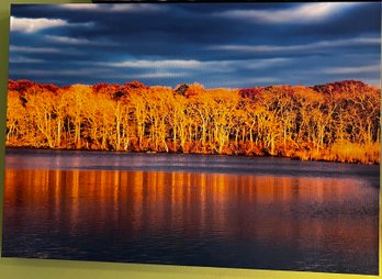 Fall Trees On The Pond Professional Photograph On Stretched Canvas By Jacqueline Taffe