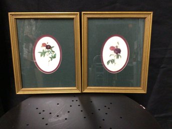 Victorian Inspired Cabbage Rose Prints, Lot Of 2