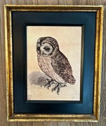 Albrecht Durer Framed Print - Owl