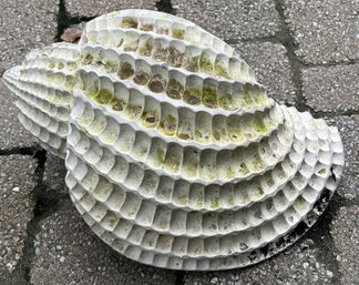 Outdoor Resin Shell Shaped Lawn Decor