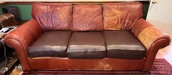 Leather Cushioned Pull-out Sofa - With Cushion Covers