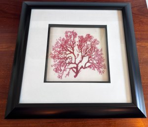 Red Coral/ Seaweed Framed Wall Art