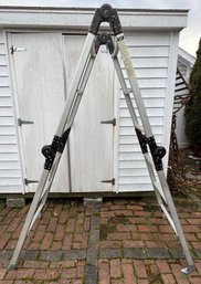 Collapsible 12 Foot Ladder