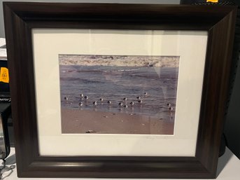 Beach Walk II Signed Framed Photograph Of Shorebirds