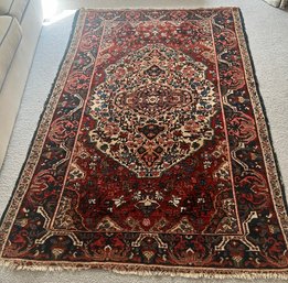 Persian Style Area Rug