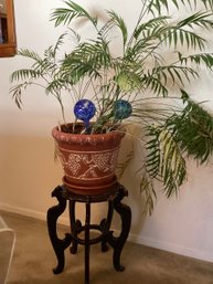 Parlor Palm Tree Potted Plant With Stand