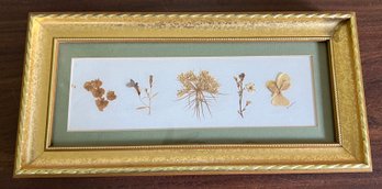 Pressed Dried Flowers Framed