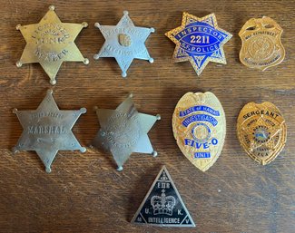 Vintage Costume Badges - 9 Pieces