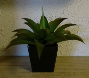 Artificial Succulent Plant