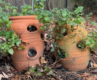 Pair Of Pottery Strawberry Planters