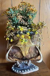 A. Raven Studio Cranberry Creek, NY Handmade Turtle Shell With Antler Vase