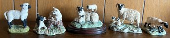 Border Fine Arts Studio Sheep Sculptures - 5 Pieces