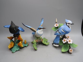 Lenox Fine Porcelain Female Blue Jay, Stellar's Jay & Western Scrub Jay Figurines - Lot Of 3