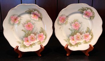Rosenthal Porcelain Rose Design Plates #86 - 2 Pieces