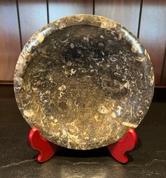 Grey Fossil Plate, 8'
