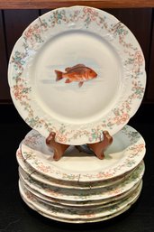 Imperial Crown China Austria Fish Decorative Plates - 8 Pieces