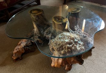 Vintage Preserved Tree Stump Base Glass Top Coffee Table