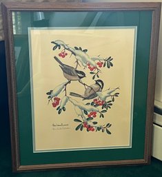 Anne Worsham Richardson 'Black Capped Chickadee' Signed Print