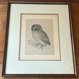 Albrecht Durer Little Owl Print Framed