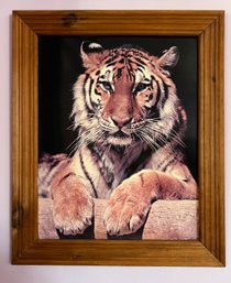 Tiger Print Framed