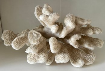 Natural White Coral Cluster