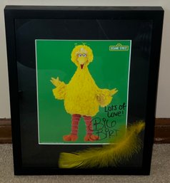 Big Bird Signed Print  Framed With Feather