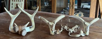 Midwest Of Cannon Falls Deer Antlers - 3 Pieces