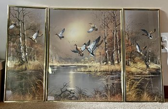 Duck Art Framed Wall Art Set Of 3