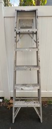 6ft Metal Painters Ladder