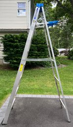 Werner 8 FT Painters Ladder