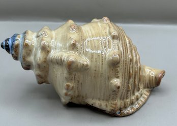 Glazed Ceramic Conch Shell