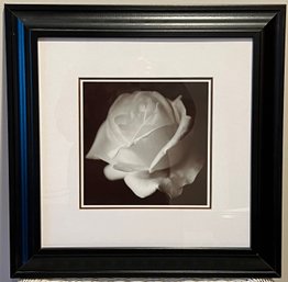 Philip Floral Photography Print Framed
