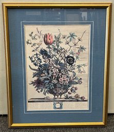 Robert Furber 12 Months Of Flowers February Print Framed