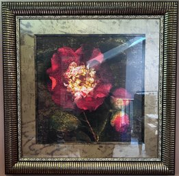 Magnolia Flower Framed Wall Art