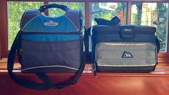 Playmate Cooler Bag & Arctic Zone Cooler Bag - 2 Piece Lot