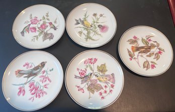 LM Royal Halsey Fine China Bird Plates- 5 Plates