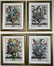 Vintage Robert Furber Gold Wood Framed January, March, August And September Botanical Engravings 4 Piece Lot