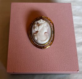 14K Gold Trim Cameo Brooch