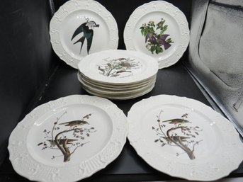 Delano Studios Birds Of America Reprod. John J. Audubon Engravings Hand Colored Lithographs Set Of 12 Plates