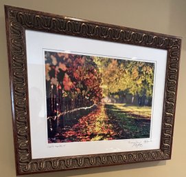 Wispy Fall CA Napa Valley Signed Photo #16/50