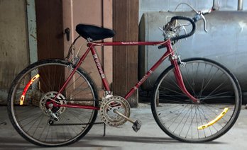 Vintage Ross Europa Tempered Lug Frame Bicycle