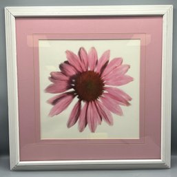 Pink Daisy Print Framed