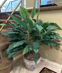 Potted Faux Evergreen House Plant