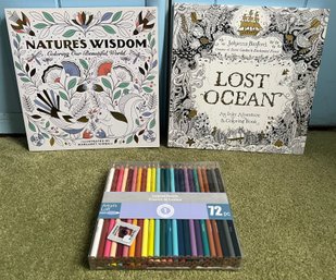 Coloring Books & Colored Pencils - 3 Piece Lot