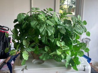 Faux Swedish Ivy In Wicker Basket