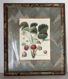 French Vintage Strawberry Plant Illustration Print Framed